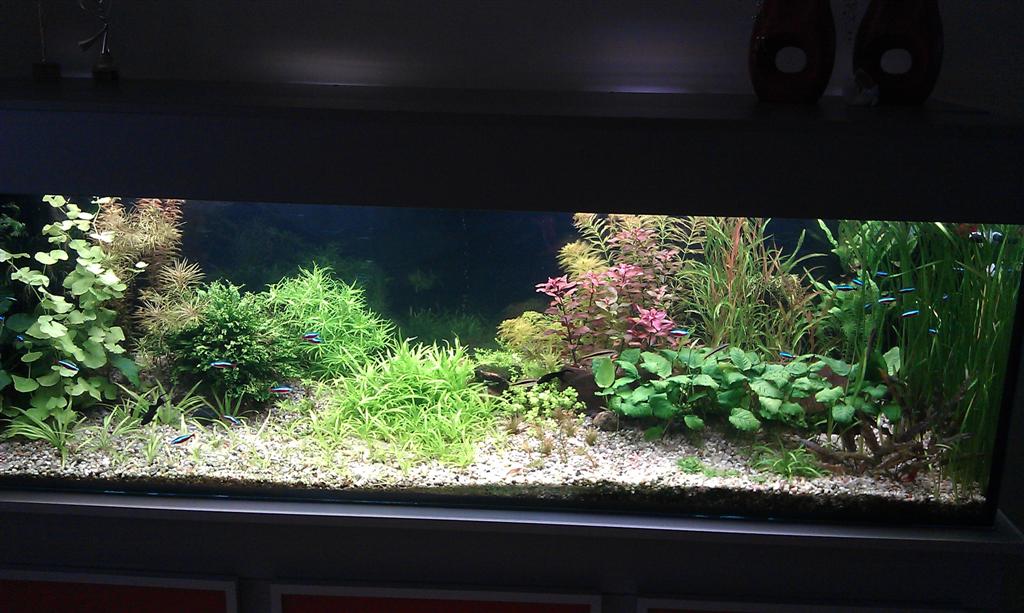 IMAG1024 (Large).jpg