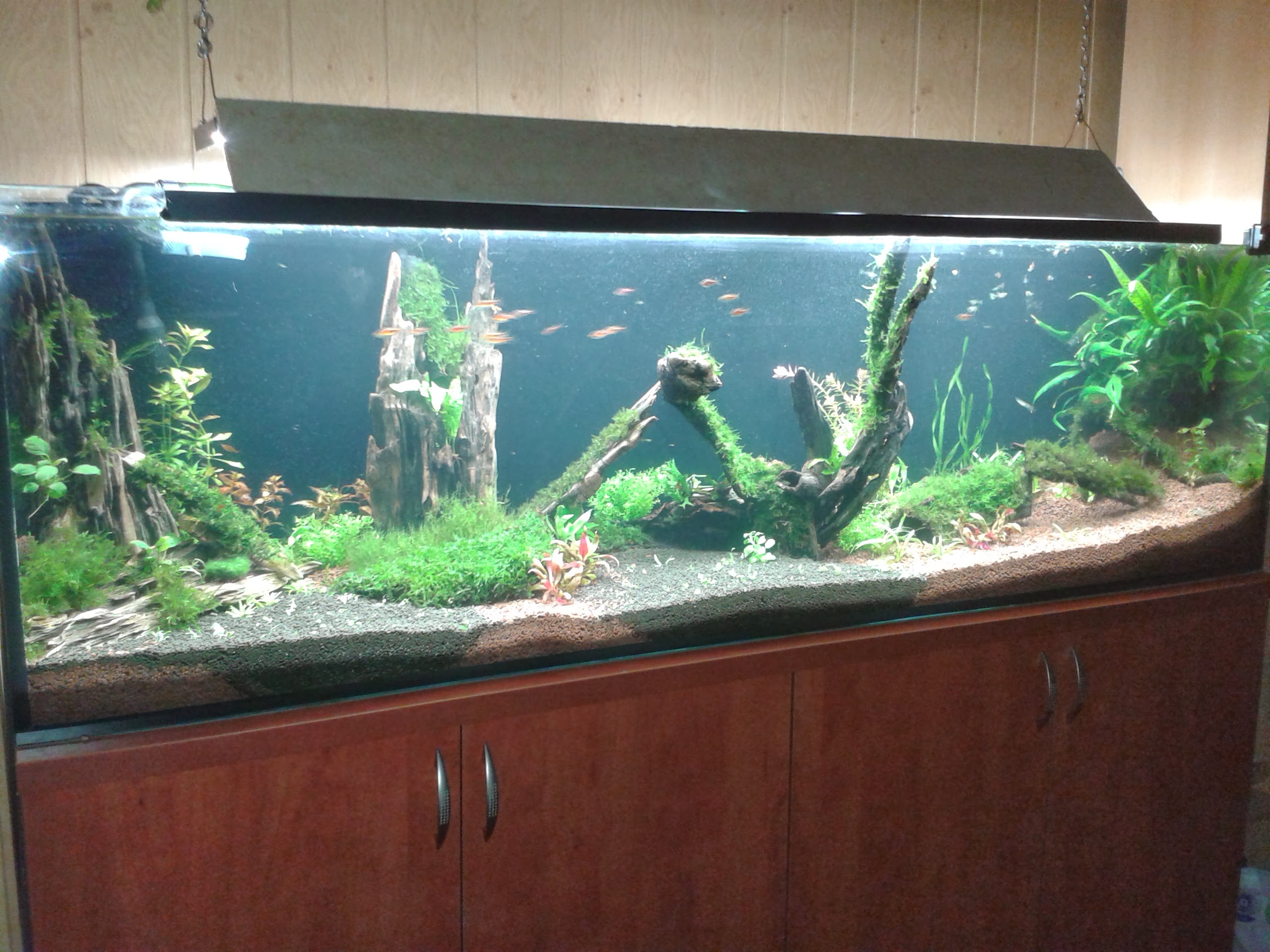20140105_173443.jpg
