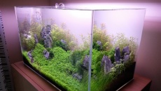 45l - "Łąki łan"