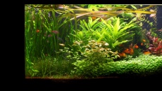 250l - Mateusz J
