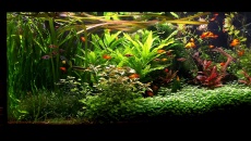 250l - Mateusz J
