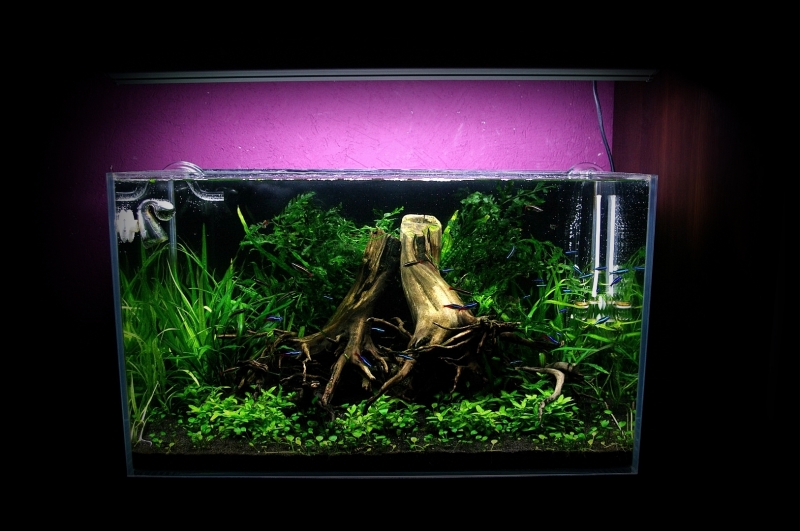 15.JPG