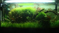 112l - BN/T - Kamil Jedynak