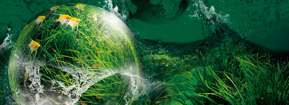 baner2.jpg