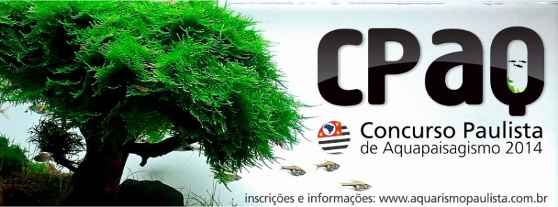 cpaq.jpg