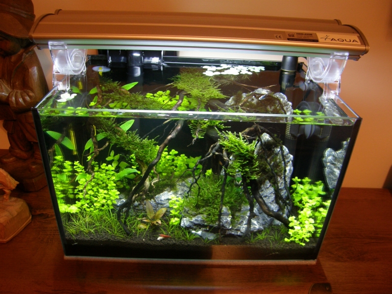 25l.1.JPG