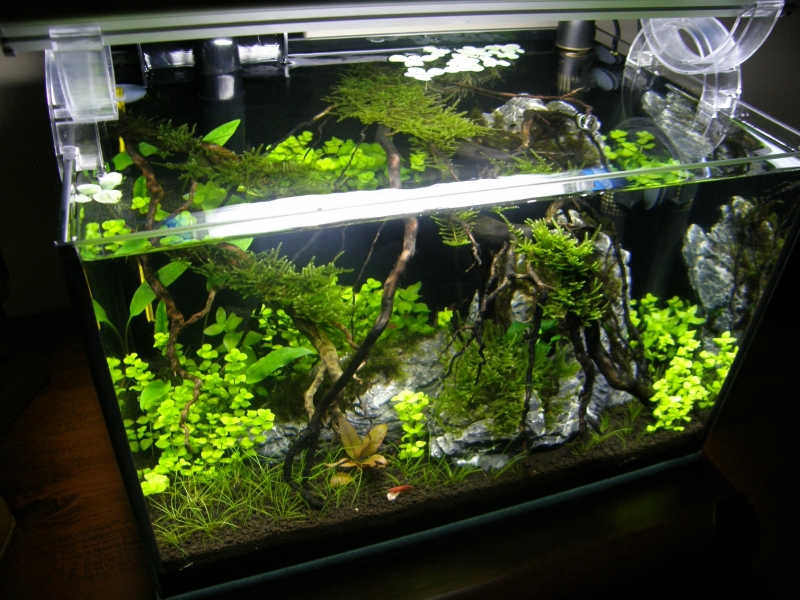25l2.JPG