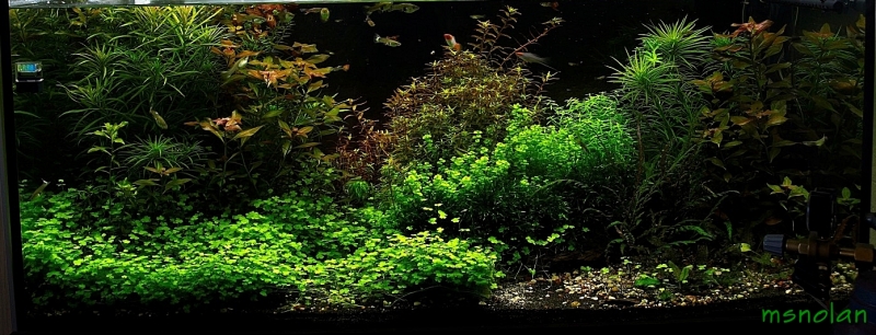 300L.jpg