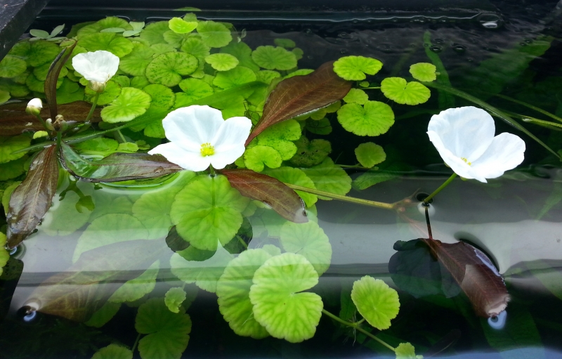 20140204_131323.jpg