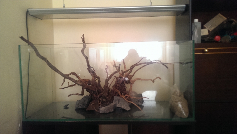 IMAG0088.jpg