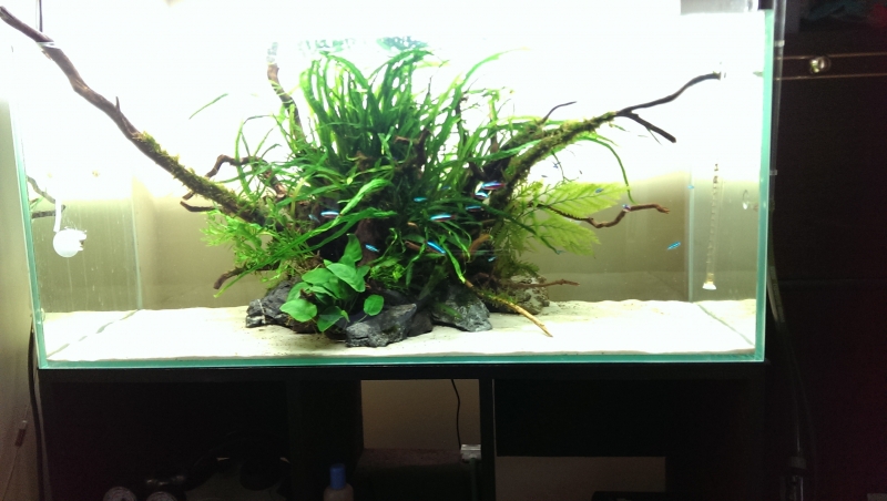 IMAG0120.jpg
