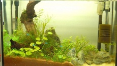 70l - At the corner of my desk