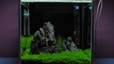 15,6l - Kostka - RS