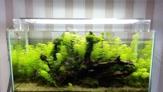 [DIY] Lampa AQUA SKY 80cm - completed