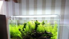 [DIY] Lampa AQUA SKY 80cm - completed