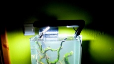18,5l - Czas na Crystale