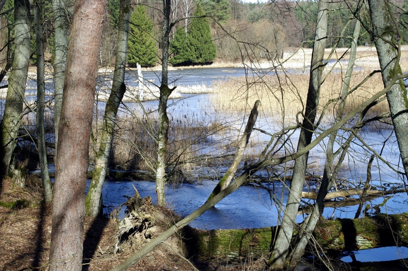 IMGP8187 (Large).JPG