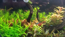 200l - Jurek