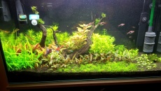 200l - Jurek