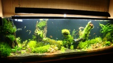 480l - 200x60x40 LED - Tomek