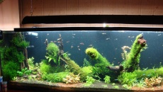 480l - 200x60x40 LED - Tomek