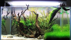 182l - Mizube