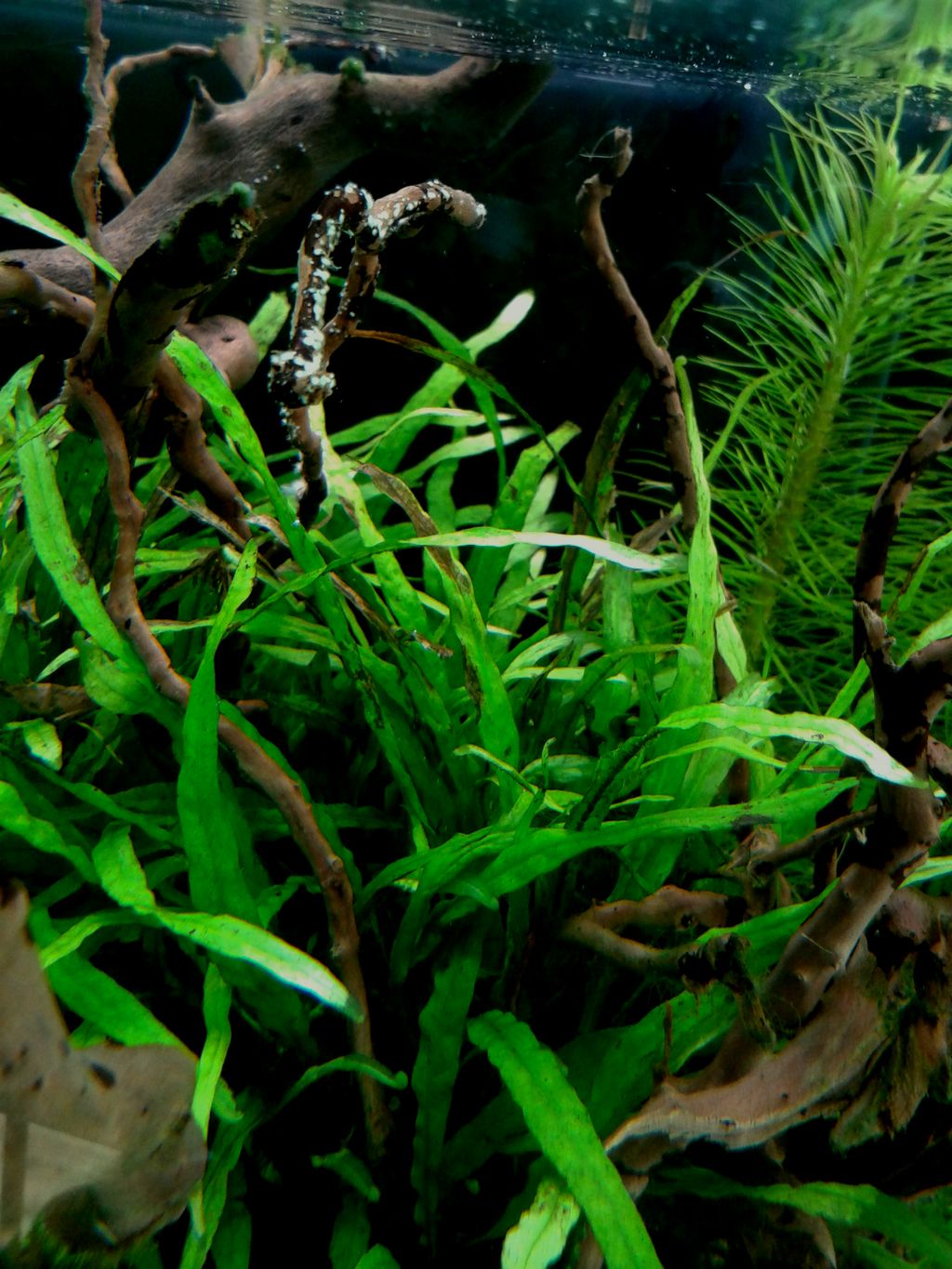 20140309_123047.jpg