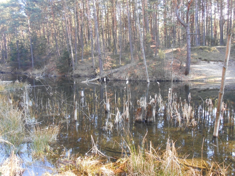 DSCN1389.JPG