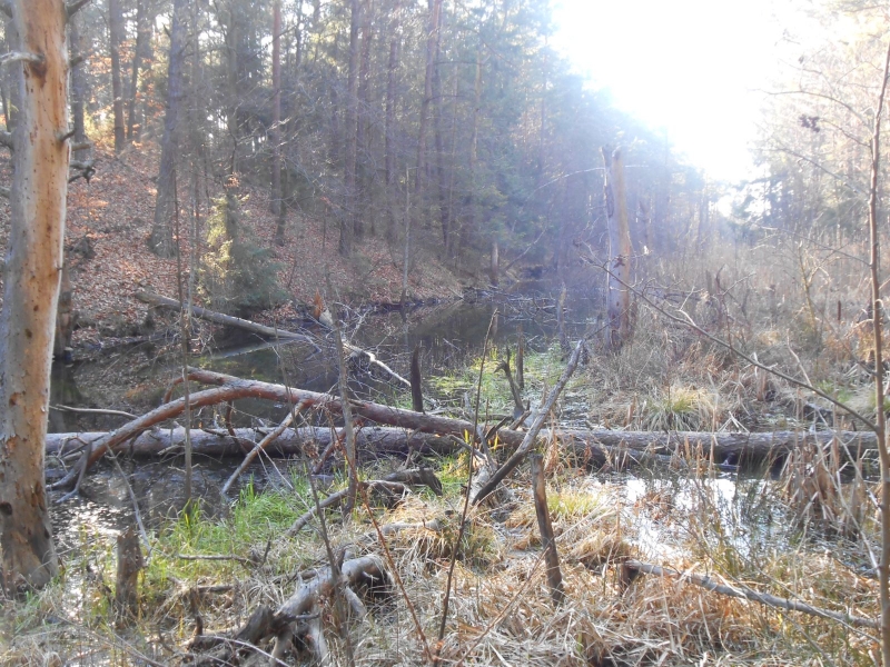 DSCN1396.JPG