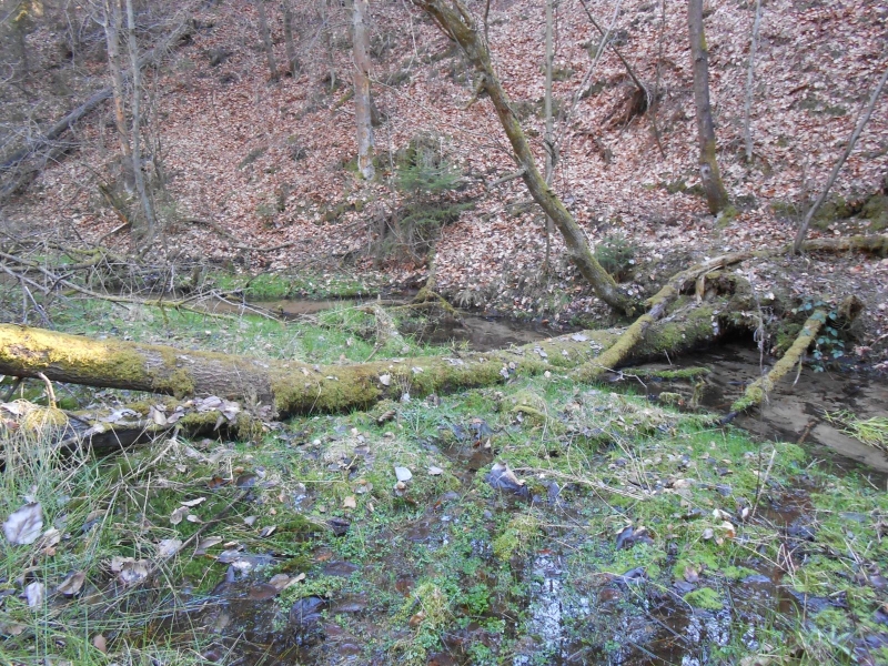 DSCN1401.JPG