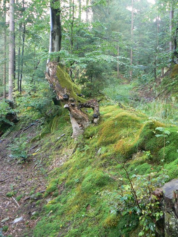 P1150558.JPG