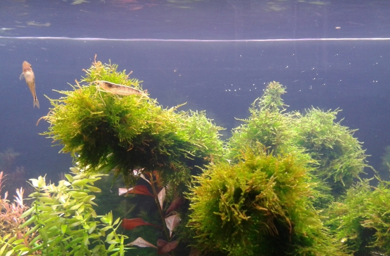 20140309_222628.jpg
