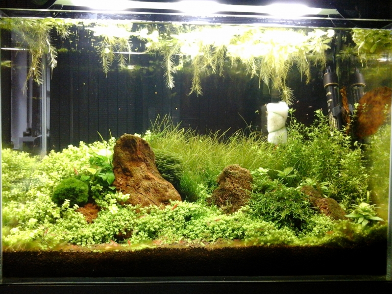 20140126_100707.jpg