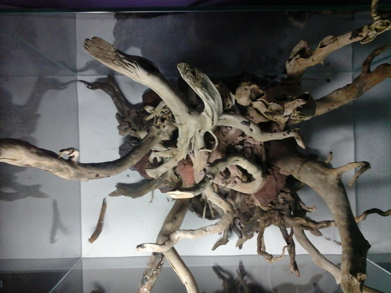 20140308_232415.jpg