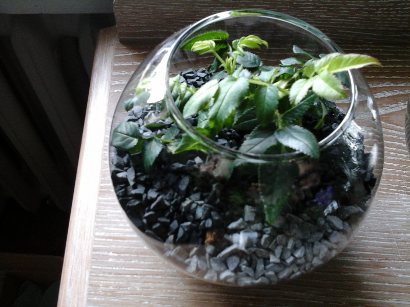 20140131_093553.jpg