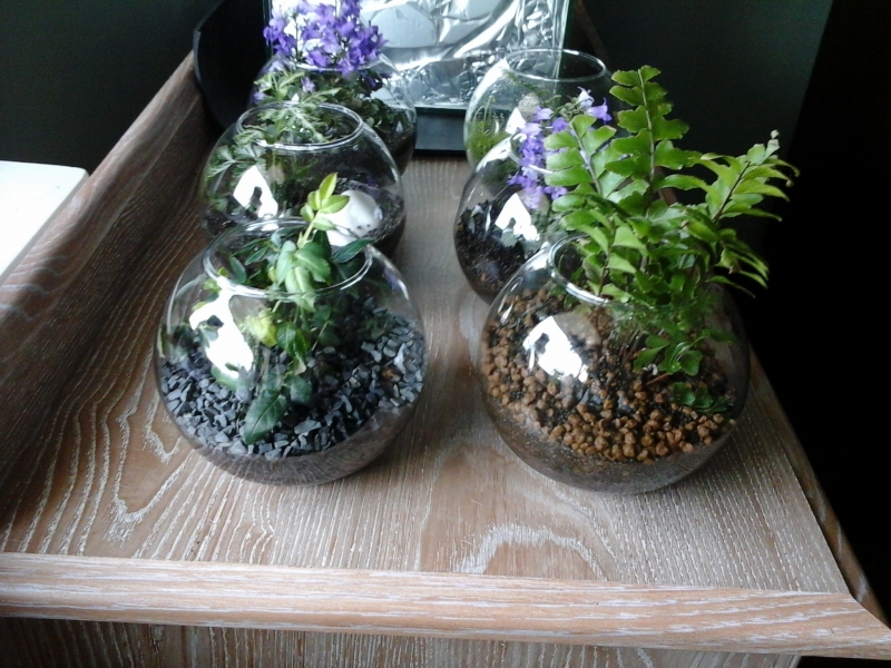 20140131_093622.jpg
