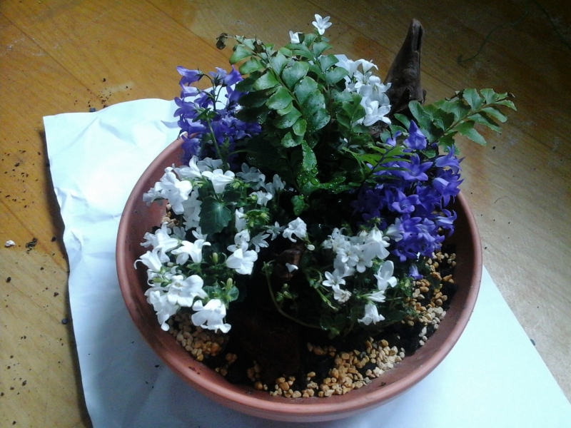 20140129_124140.jpg