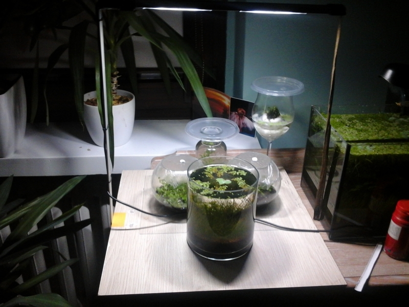 20140104_203800.jpg