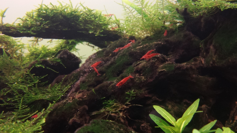 20140313_202446.jpg