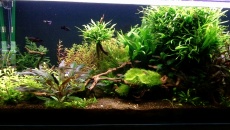 450l - amatorka