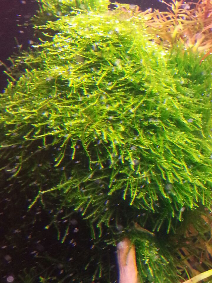 20140322_173403.jpeg