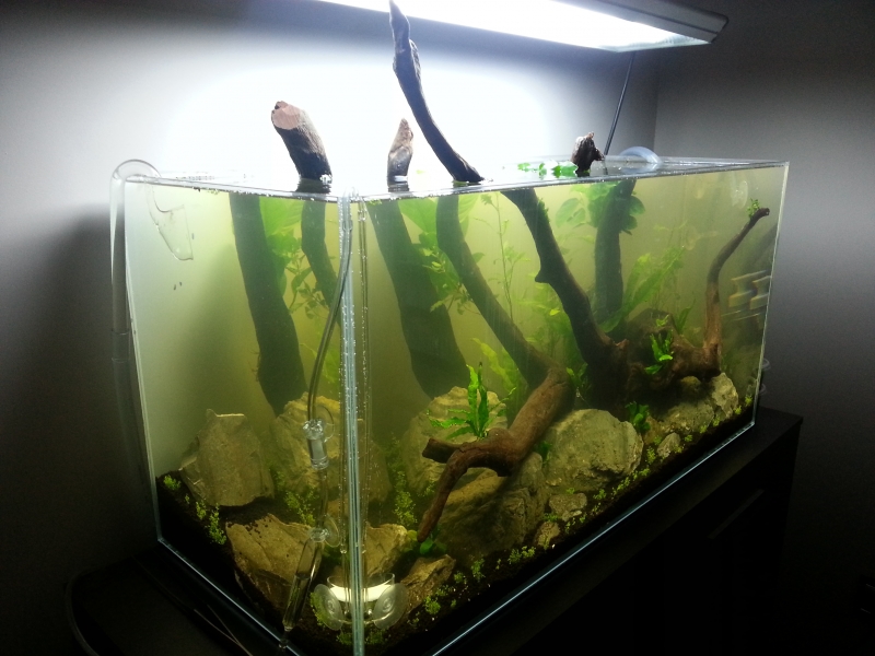 20140323_145828.jpg