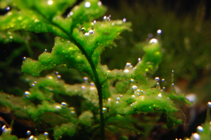 DSC_9777.JPG