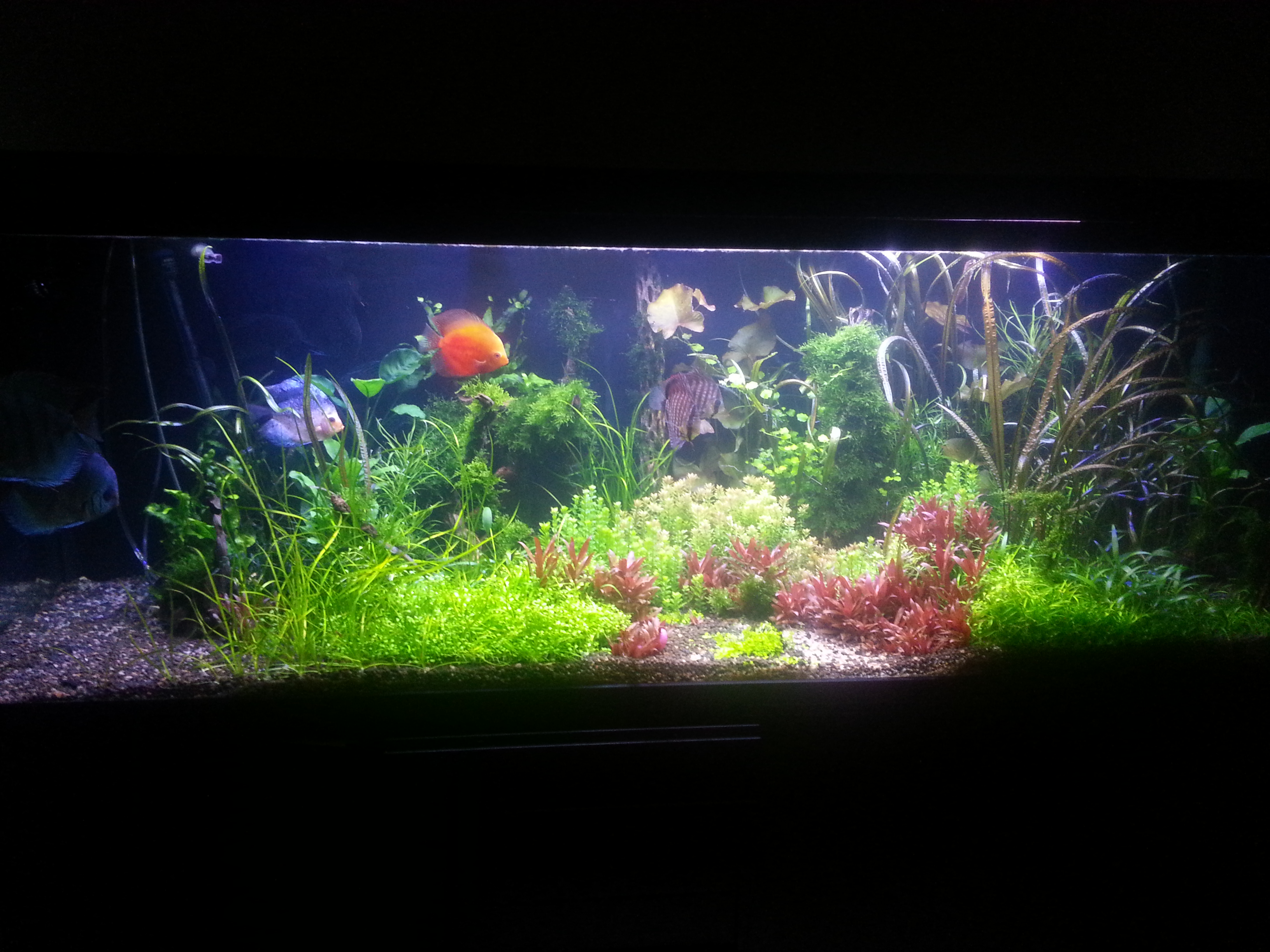 20140325_201733.jpg