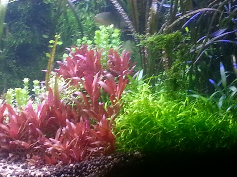 20140325_202909.jpg