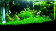 23l - Biurkowe