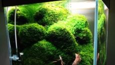43l - salonowy cube 3