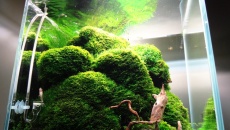 43l - salonowy cube 3