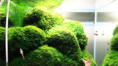 43l - salonowy cube 3
