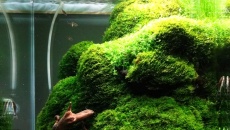 43l - salonowy cube 3
